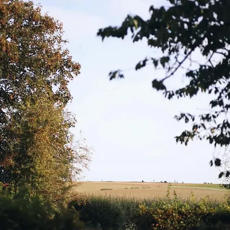 La Des Crenees Heron